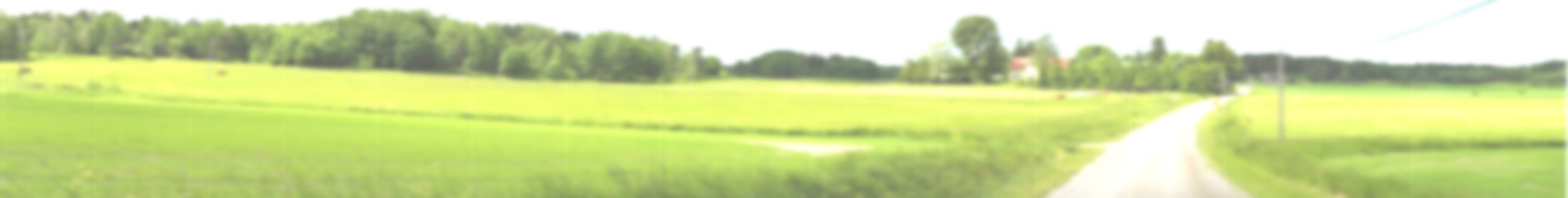 Norwich roads in rural Norfolk background for intensive courses - rural Norfolk